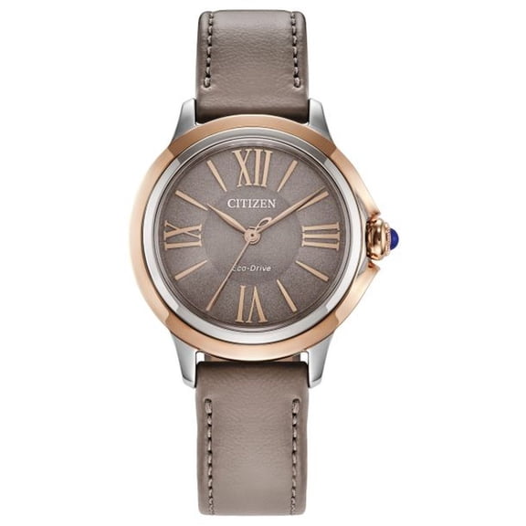 Citizen Ceci Women's Eco-Drive Watch EM1166-01Z
