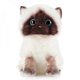 thumbnail image 1 of Ragdoll Cat Plush Doll Cat- 20cm Stuffed Animal Cats Plushies Home Decor Ornaments For Kids Children Girls Boys Gifts BDW, 1 of 5