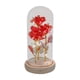 thumbnail image 1 of Rosa romántica de amor con flor preservada en cúpula de cristal para mamá, regalo de San Valentín Rojo, 1 of 9
