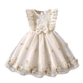 thumbnail image 2 of HAYIMI Child Summer Girls Dress With Mesh Floral Lace Trim Sleeveless Party Style For Warm Weather O-Neck Leisure Dresses, 2 of 8