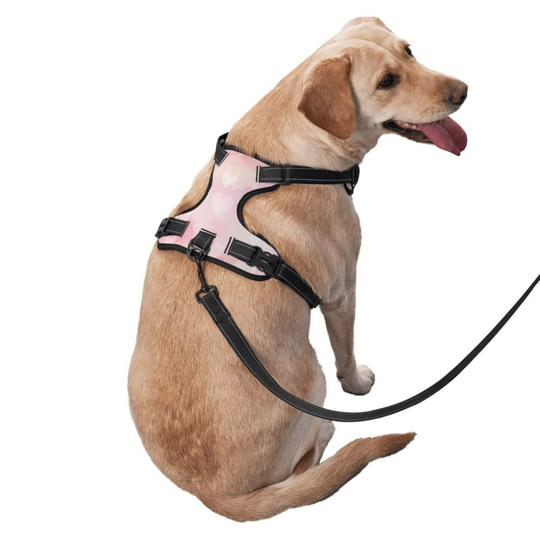 XMXY No Pull Dog Harness Heart Tender Sweet Love Adjustable Reflective Pet Harness with Oxford Vest X Large Size