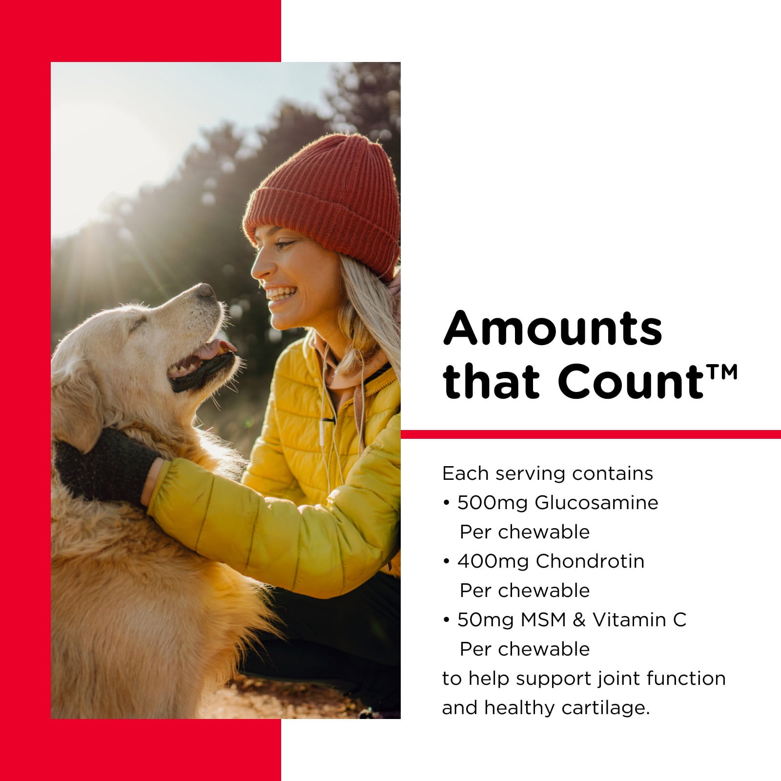 Nutri-Vet Hip and Joint Chewables for Dogs, Advanced Strength, 300 Count