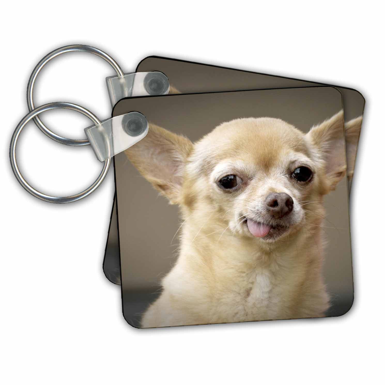 3dRose 3dRose Toothless Chihuahua Dog, Santa Fe, New
