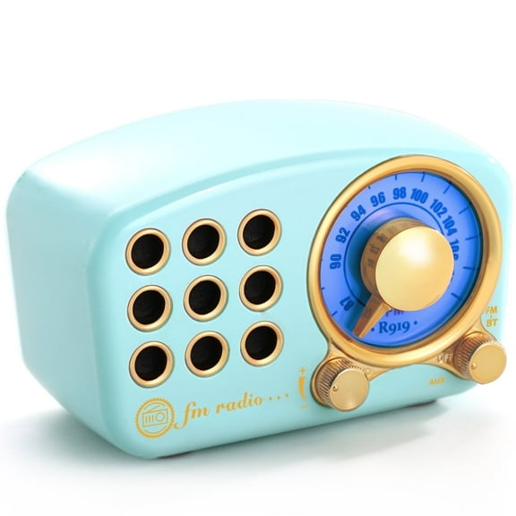 Greadio 919B Bluetooth Portable Battery-Powered FM Radio with Volume Control, Little, Blue, Parties