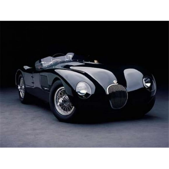 Selected Artworks PDX3DH1728LARGE 1951 Jaguar C-Type Poster Print by Don Heiny, 22 x 28 - Large