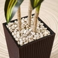 thumbnail image 4 of 6ft UV Resistant Artificial Dracaena Tree with Brown Tall Planter, Pre Potted Fake Plants for Indoor Outdoor Home Decor, Big Faux Tree Fake Plants for Office House Decor, 4 of 10