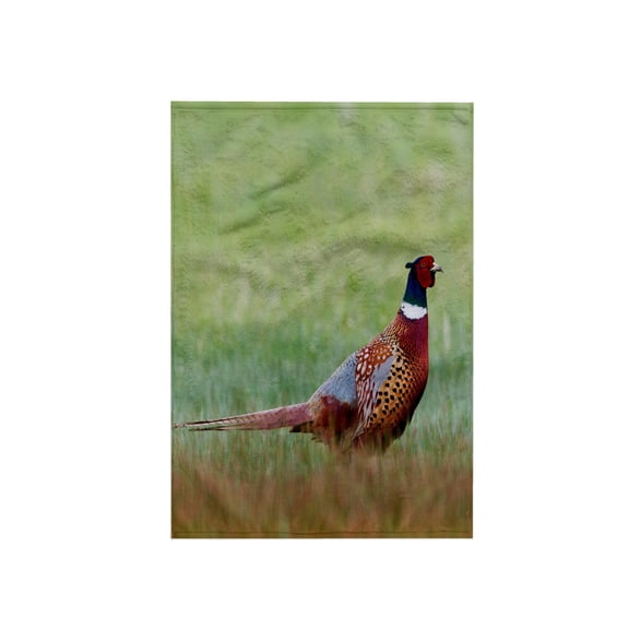 3dRose, Ring necked Pheasants, 15x22 Hand Towel