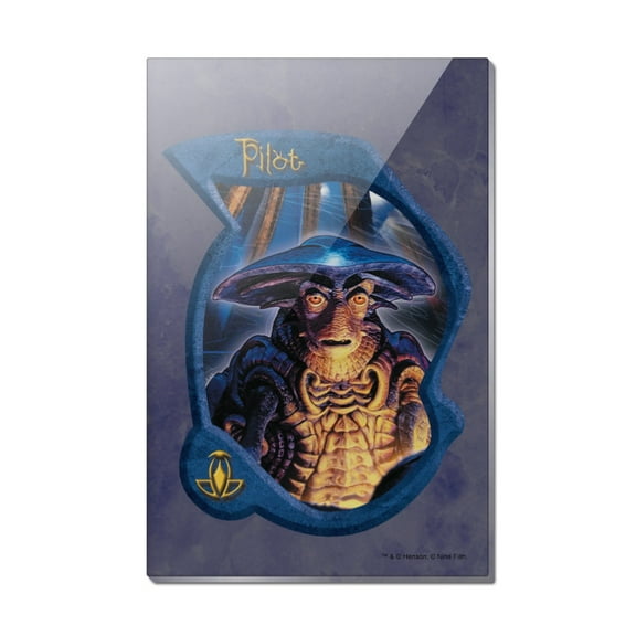 Farscape Moya's Pilot Rectangle Acrylic Fridge Refrigerator Magnet