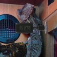 thumbnail image 2 of Reptile Terrarium Thermometer Suction Cup Thermometer Temperature Measuring Device, 2 of 5