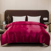 Fiudx Silk-Like Satin Duvet Cover Set, 1 Piece, 203X229Cm, Hidden Zipper,Hotel-Quality Bedding for Adults, Blue, Black, Burgundy, Dark Green, Champagne, Gray, Pink, Purple