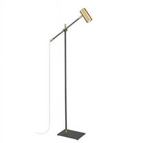 Z Lite 814FL-MB-OBR 48 in. Calumet 35W Floor Lamp Portable Light, Matte Black & Olde Brass