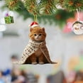 thumbnail image 5 of CoreLiving Christmas Ornaments Cat - Orange Cat Ornament for Tree, 2D Fat Acrylic Cat Gift, Cat Xmas Ornaments, Christmas Home Party Decoration, 5 of 7