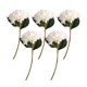 thumbnail image 1 of Advancent Juego de plantas artificiales duraderas de bajo mantenimiento de 5 uds. Para entornos aptos para mascotas, amplia aplicación para Decoración Blanco, 1 of 6