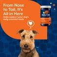 thumbnail image 6 of NaturVet Daily Multi-Vitamin All-In-One Supplements for Dogs, Bacon and Chicken Flavor, 120 Count, 6 of 10