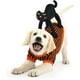 thumbnail image 1 of Disfraces de Halloween para perros, traje de disfraz de perro con diseño único de gato negro, ropa para cachorros para fiesta de Halloween de Navidad (L), 1 of 4