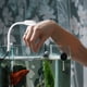 thumbnail image 4 of Lámpara de acuario tipo abrazadera, luz para pecera tipo USB, lámpara para pecera doméstica, 4 of 5