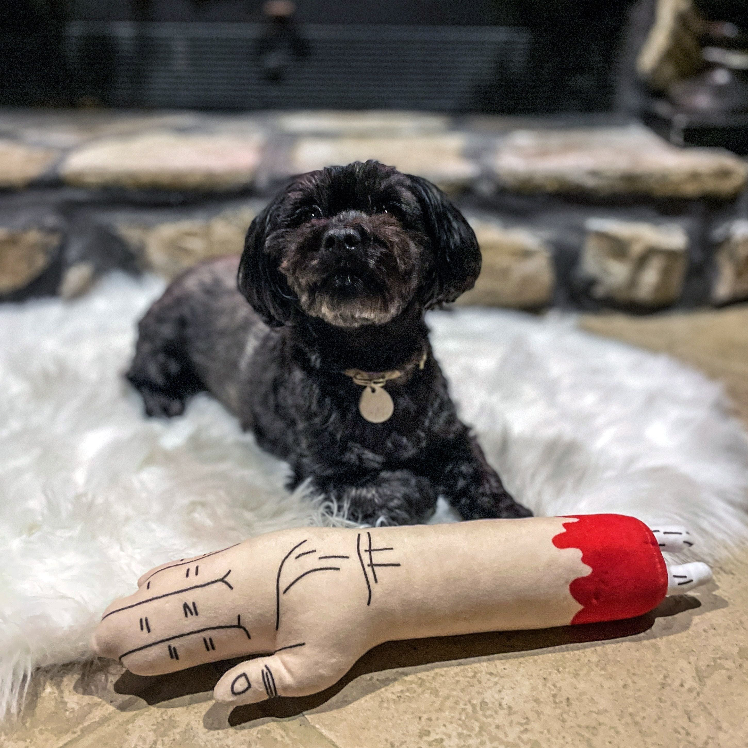 Zombie Arm Dog Toy Funny Stuffed Chew Plush for Puppies