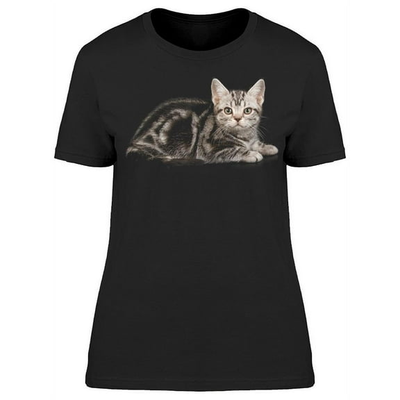Pretty Shorthair Grey Cat T-Shirt Women -Image by Shutterstock, Female 3X-Large