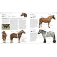 thumbnail image 2 of DK Pet Encyclopedias The Horse Encyclopedia, (Hardcover), 2 of 6