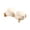 White, variant on RKSTN Ceramic pets bowl Double Bowl Shaped Ceramic Cats Dog Bowl Cats Food Bowl Water Bowl Tall Bowl To Protects The Cervical Spine Pet Food Bowl Canned Food And Treat Dishs pet supplies