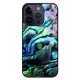thumbnail image 1 of abalone iPhone 14 Pro Case BLN1945,iPhone 16 Plus, 1 of 3