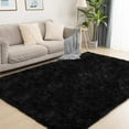 thumbnail image 2 of SUSUZI 5 x 7 ft Shaggy Area Carpet for Living Room Large Fluffy Fuzzy Floor Rugs for Bedroom Soft Throw Rugs Home Decor, Black, 2 of 9