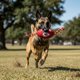 thumbnail image 1 of Juguete Balon con cuerda para perro NFL Kansas City Chiefs 100% oficial, 1 of 6