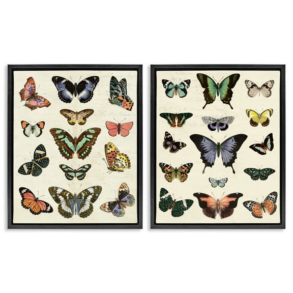 Stupell Industries Antique Butterfly Collection Insects Painting Black Floater Framed Canvas Art Print Wall Art, 17 x 21, Set of 2