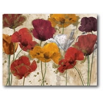 Happy Flowers II Gallery-Wrapped Canvas Wall Art, 16x20