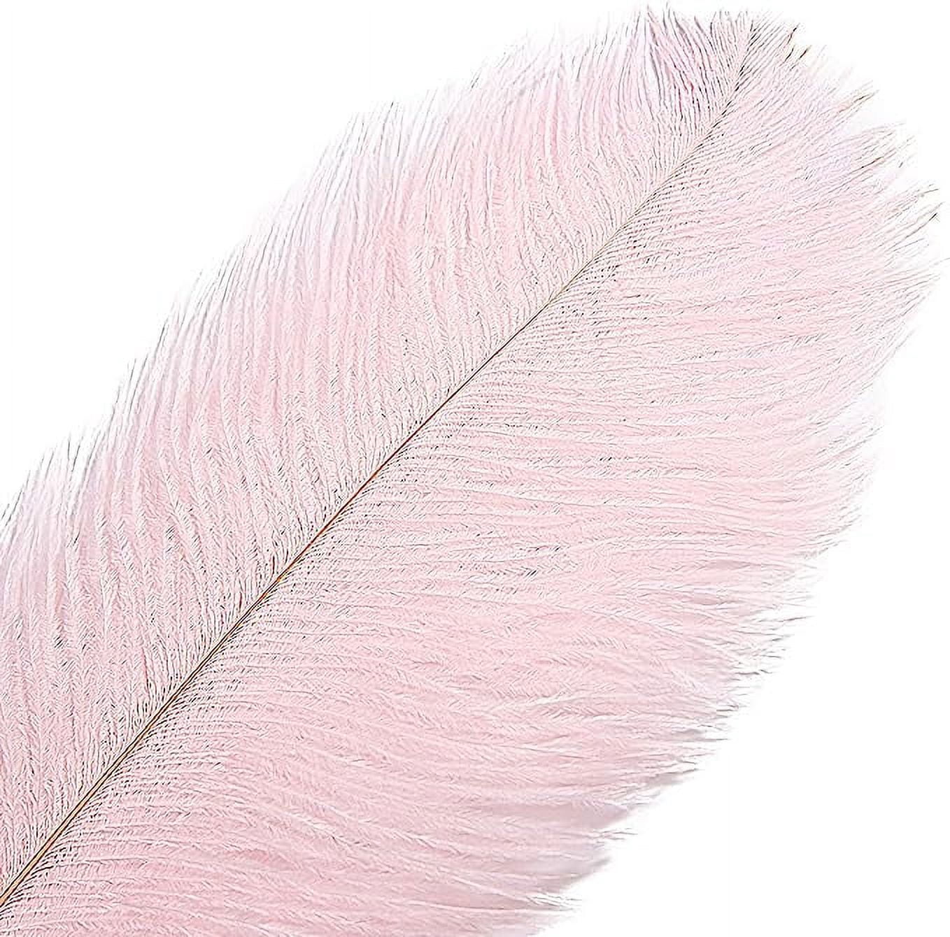 Nvzi 12pcs Pink Ostrich Feathers Natural Bulk 16-18Inch 40cm-45cm for Wedding Party Centerpieces Easter Gatsby and Home Decorate Ostrich Feathers