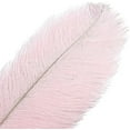 thumbnail image 3 of Namzi Ostrich Feathers, 12 Pcs 40-45cm Pink Feathers Ideal for Wedding Centerpiece, Table Decor Vase Fillers, 3 of 5