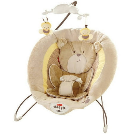 Fisher-Price My Little Snugabear Deluxe Bouncer