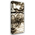 thumbnail image 1 of Alan Hausenflock 16x40 Gallery Wrapped Canvas Wall Art Titled - Savannah in Sepia II, 1 of 4