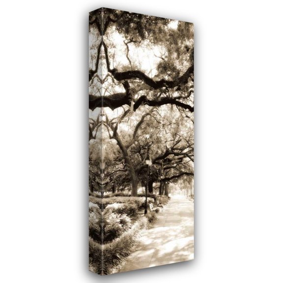 Alan Hausenflock 11x24 Gallery Wrapped Canvas Wall Art Titled - Savannah in Sepia II