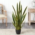 thumbnail image 3 of Nearly Natural 8306 4 in. Sansevieria Artificial Plant, 3 of 3
