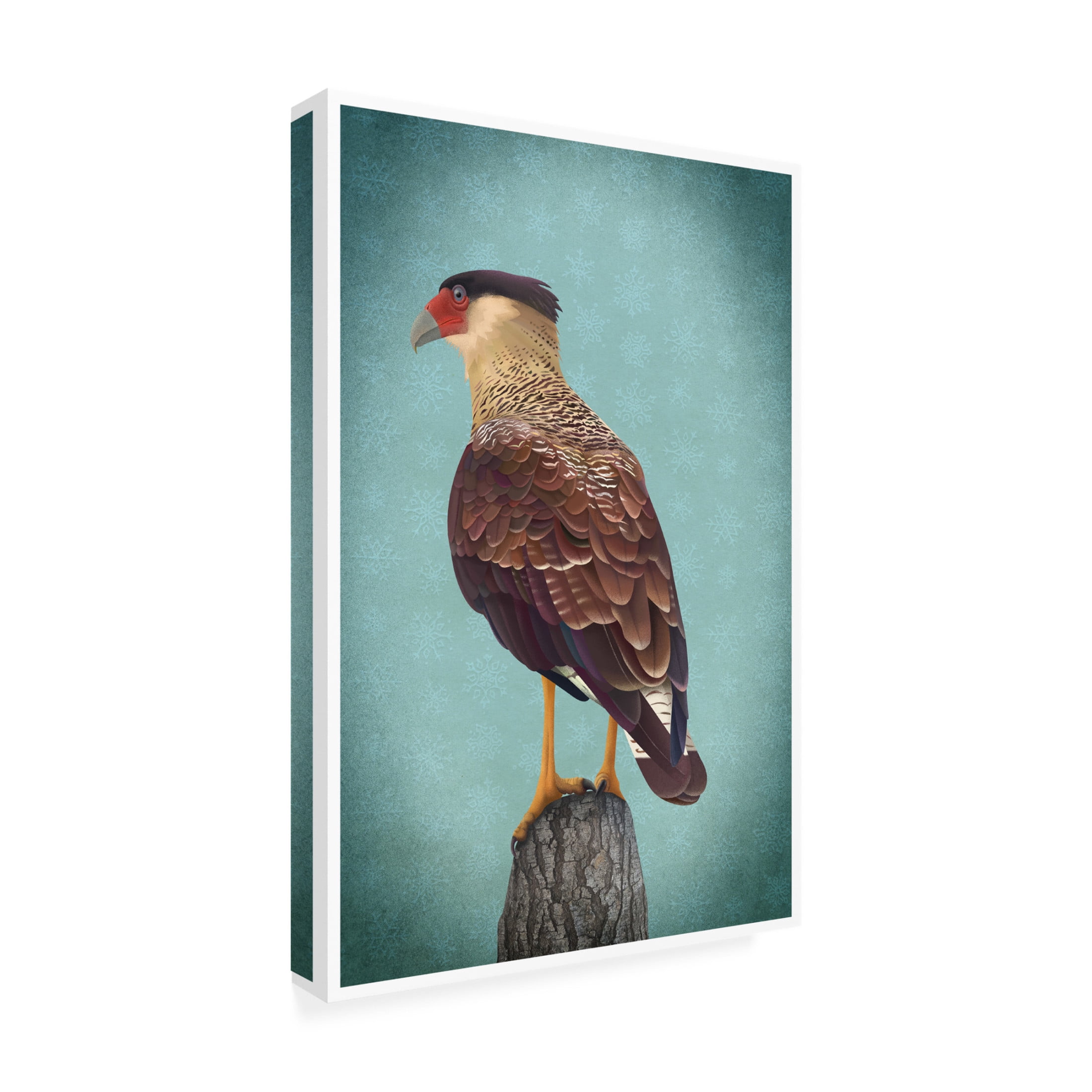 Trademark Fine Art Franco Caballero Carancho Canvas Wall Art