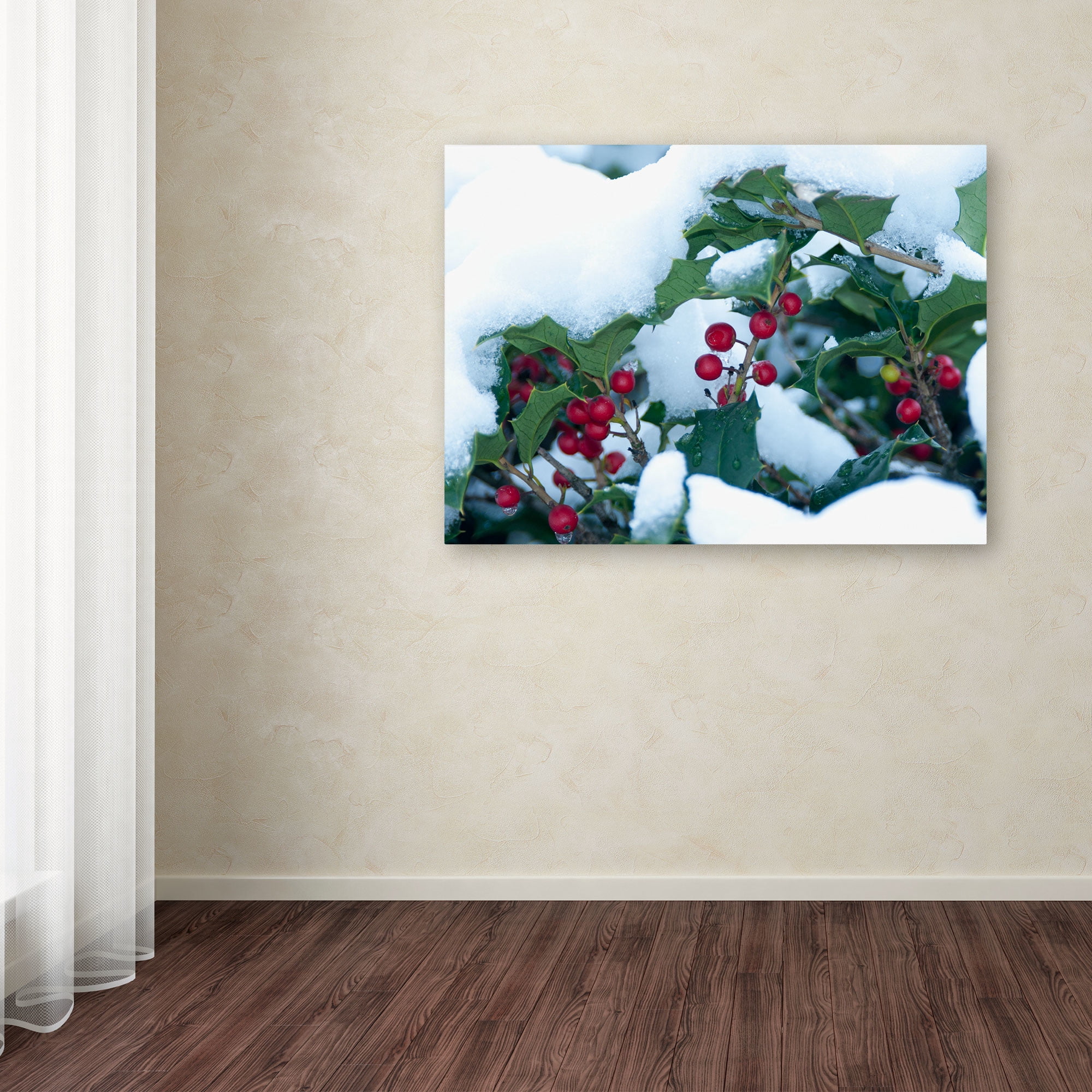 Trademark Fine Art "Holly in the Snow" Canvas Art by Kurt Shaffer