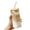 Wood, variant on Square Glass Cups with Lids and Straws, Heat Resistant Clear Drinking Tumblers for Coffee, Tea & Daily Home Drinkware Use
