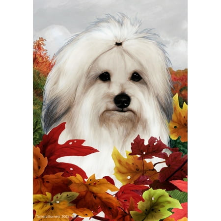 Coton De Tulear - Best of Breed Fall Leaves Garden (Best Clippers For Coton De Tulear)