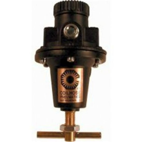 Coilhose Pneumatics Heavy Duty Regulator - 1 EA (166-8806)