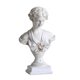 thumbnail image 1 of European Style Venus-designed Sculpture Figure Statue Ornament Bust Statue, 1 of 4