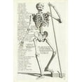 thumbnail image 2 of Bollmann, Hieronymus 23x32 Gold Ornate Wood Framed with Double Matting Museum Art Print Titled - Anatomical diagram showing human skeleton, front view, with legends, 2 of 4