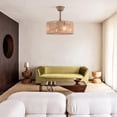thumbnail image 3 of 18 inch Modern Industrial Bladeless 3 Wind Speed 3 Blades Down Rod Ceiling Fan with Caged Mesh Shade, 3 of 10