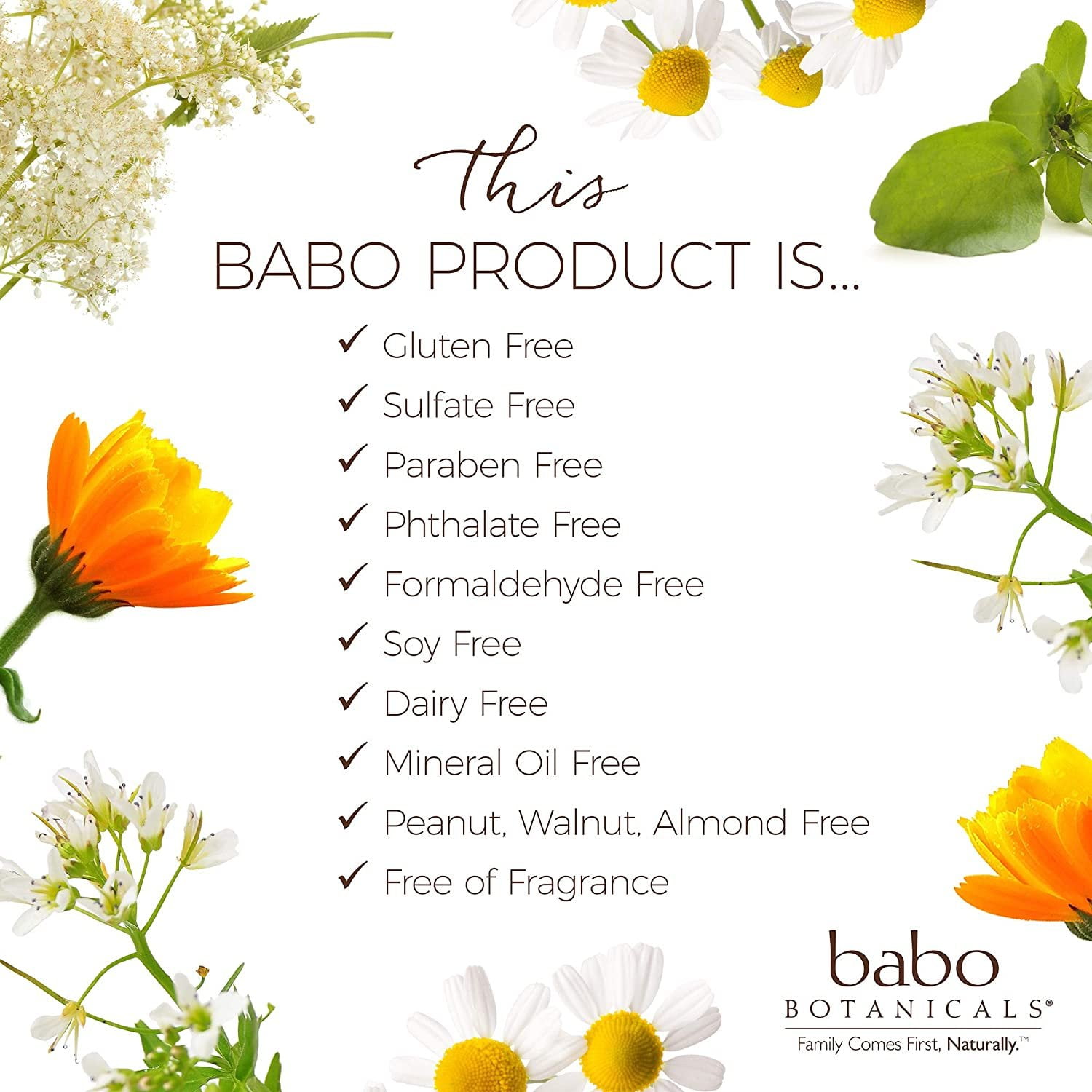 Babo Botanicals Sheer Zinc Sunscreen Spray SPF 30 , 6 oz Spray