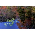 thumbnail image 2 of OBrien, Jay 24x17 White Modern Wood Framed Museum Art Print Titled - NY, Adirondack Mts Trees reflecting in water, 2 of 4