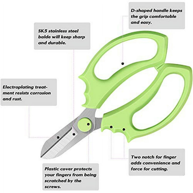 Pp Anti-Slip Grip Handle Pruning Shears Bonsai Scissors for Garden