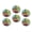 C3012, variant on Glass Refrigerator Magnet 6Pcs Magnetic Fridge Sticker,Decor for Kitchen,Whiteboard,Cabinet,Close-Up Of The Face Of Angry Wolf