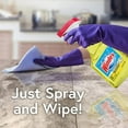 thumbnail image 5 of Windex Disinfectant Cleaner Multi-Surface Spray, 2 ct, 23 fl oz, 5 of 5