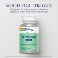 thumbnail image 3 of Solaray Pure GutShield Powder | Digestive Gut Health Support for Adults | L-Glutamine, Vitamin C, Zinc | 150g, 30 Serv., 3 of 6