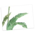 thumbnail image 4 of Pintura de Arte de Pared de Hojas de Palmera de Planta Verde l en Impresiones de Imagen para Decoración de Fondo de TV de Sala de Estar hoja de plátano M Baoblaze Pintura al óleo moderna de la lona, 4 of 8